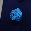 Blue & Gold Lapel Pin