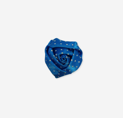 Blue & Gold Lapel Pin